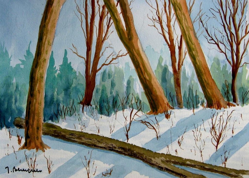 FORÊT EN HIVER